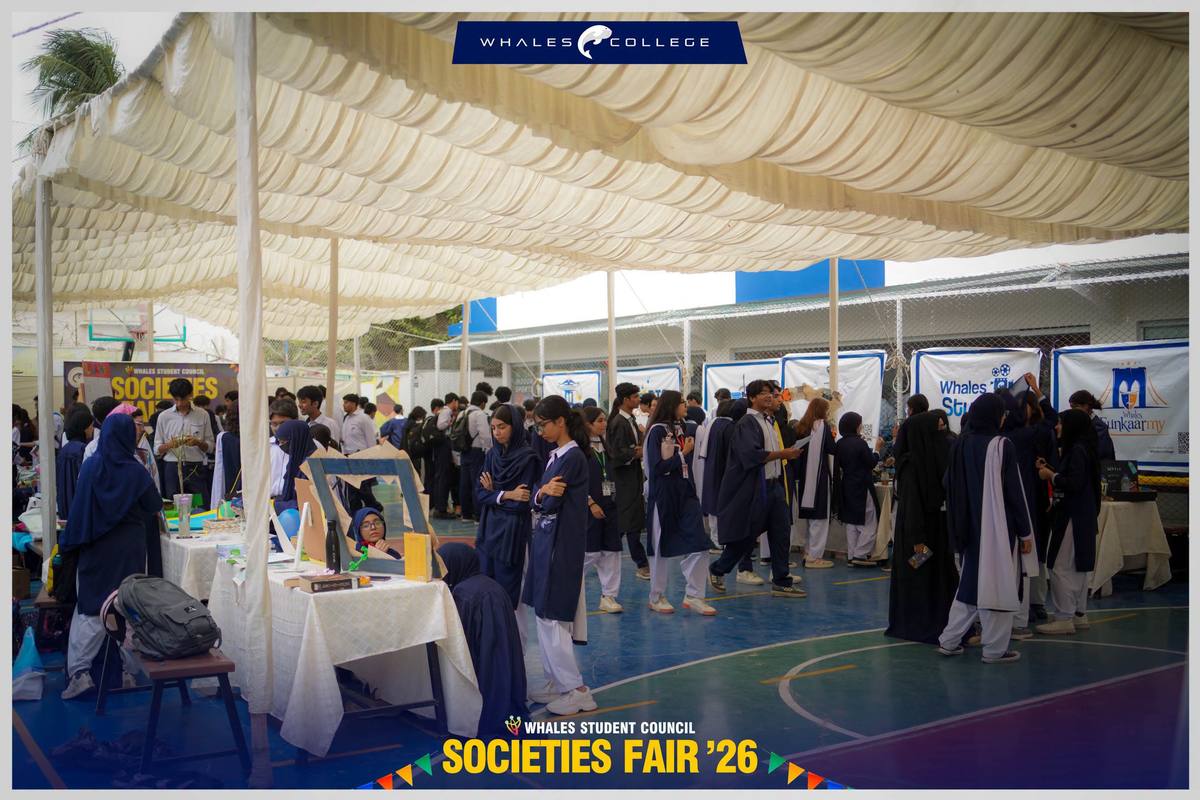 Students at the Whales Societies Fair